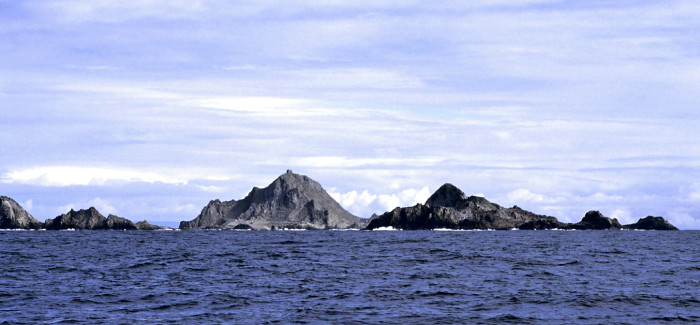 Feds Weigh Options for Eradicating Invasive Mice on the Farallon Islands